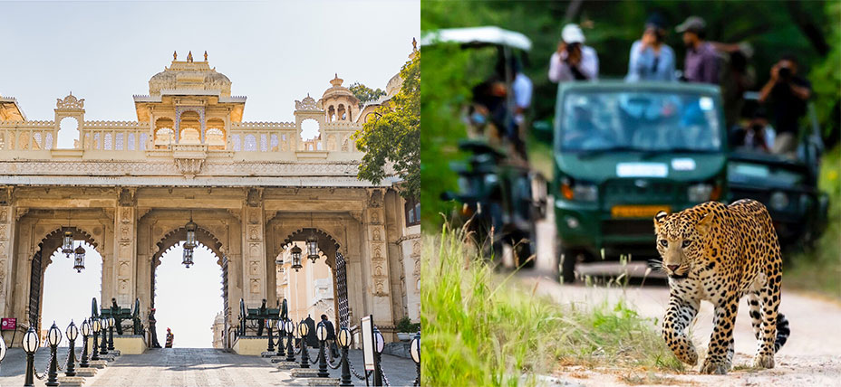 Udaipur - Jawai Safari