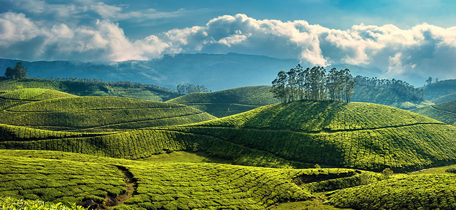 Munnar