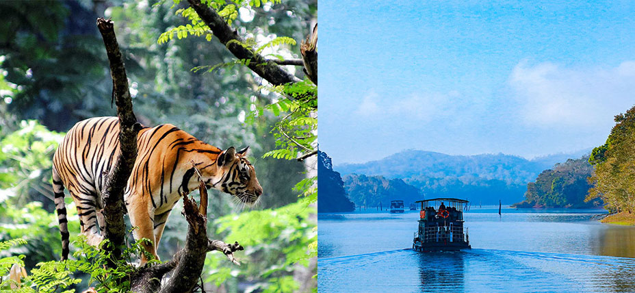 Thekkady